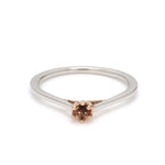 Load image into Gallery viewer, 6 Prong Platinum Rose Gold Solitaire Mounting JL PT 1145-M   Jewelove.US
