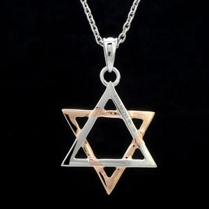 Star of David Platinum Rose Gold Pendant JL PT P 312   Jewelove.US