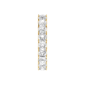 15 Pointer Eternity Yellow Gold Princess Cut Diamond Engagement Ring JL AU RD RN 9294Y   Jewelove.US