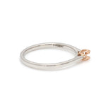 Load image into Gallery viewer, Platinum Rose Gold Solitaire Mounting JL PT 1146- M   Jewelove.US
